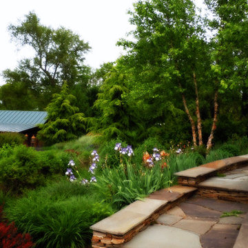 Landscaping & Walkway