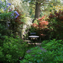 Landscape Ideas