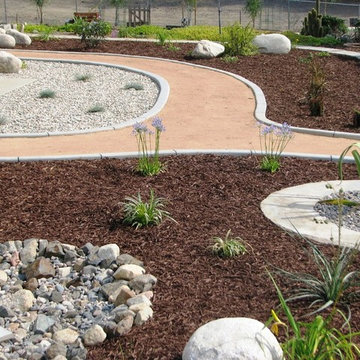 Turf Rebate Program