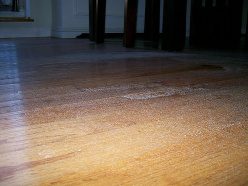 Repair Or Replace Water Damaged Hardwood Floor