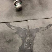 Kerrie Peterson's photo
