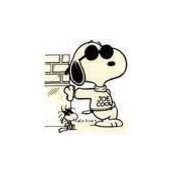 Tom Lewandowski's photo