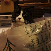 Foto de Doris Tomlin