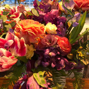 Wendy Wells's photo