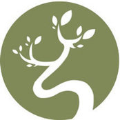 Bonsai Design+Build's photo