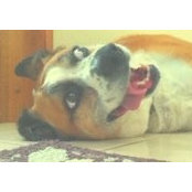 Tracy Long-Shearer's photo