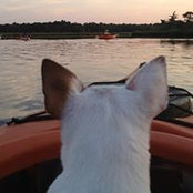 Patti Guenther's photo