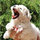 webuser_65680452