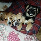 Mona McBrayer Benson's photo