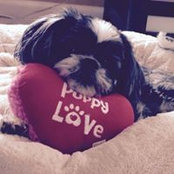 Cheryl Paustian's photo