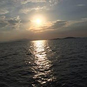 Nurcan Yildirim's photo