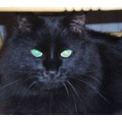Bette Haines's photo