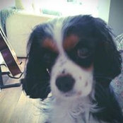 Gemma Sullivan's photo