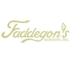 Faddegon's Nursery  Inc