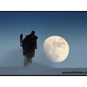 Chad Hilts foto