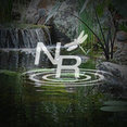 Nature's Re-Creations, LLC's profile photo