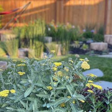 San Jose Backyard