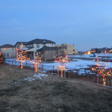 Christmas Light Installers Denver CO