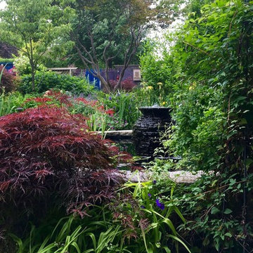 Secret Garden in Lawrence Park