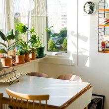 Indoor Plants
