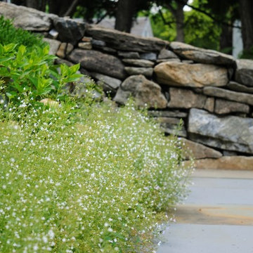 Terraced Garden