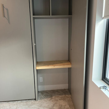 Sleak Modern Murphy Bed