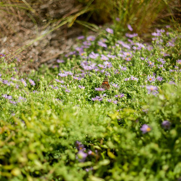 Bring Nature Near: National Park Service