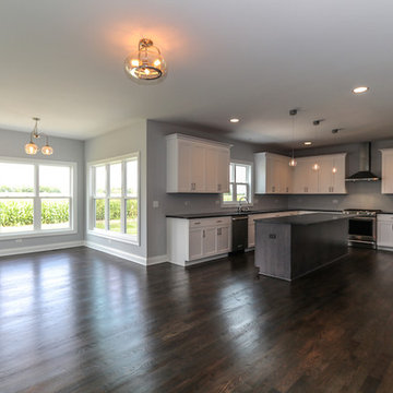 The Hampton Modified | Stewart Ridge Plainfield, IL