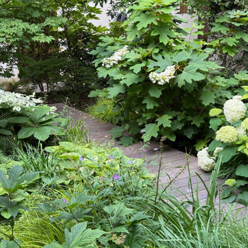 Les mémoires de Candilis