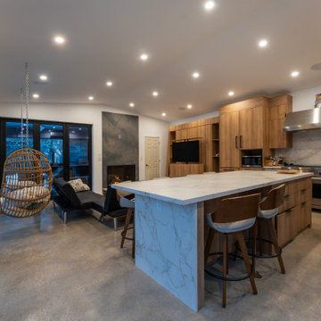 Contemporary Cabana Project