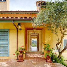Spanish tropical style homes