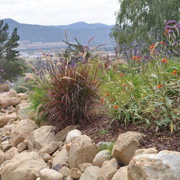 Lawn Replacements with property views