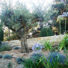 jardins du sud