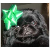 Tamara Underwood's photo