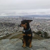 Jefferson Jeffords's photo