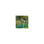 Mike Wilson's photo