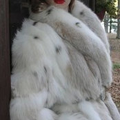 Cindy Berger's photo