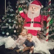 Scott Adams's photo