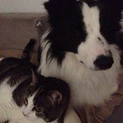 Foto von Chiara Pluderi