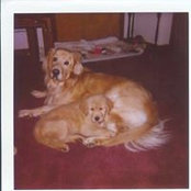 Foto von Barb Soblesky
