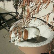 Foto von Debbie Huff