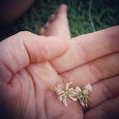 Elizabeth Welshonce's photo