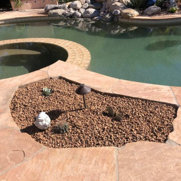 Poolside Desert Landscaping