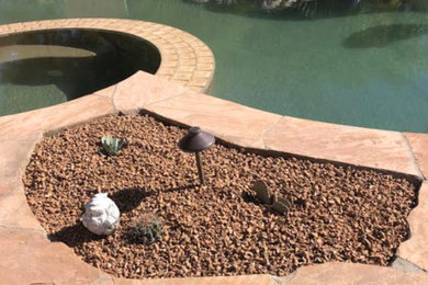 Poolside Desert Landscaping