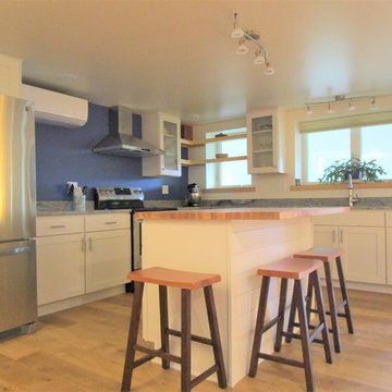Lakeside Basement Kitchen