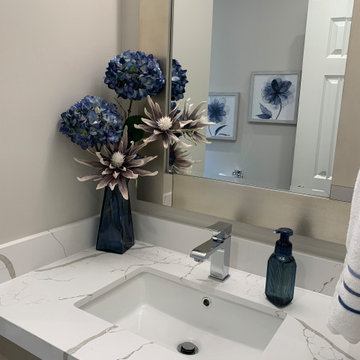 DOG BATH / LAUNDRY / POWDER ROOM