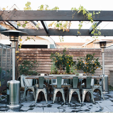 Contemporary Backyard Oasis