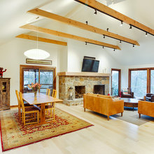 Vaulted Roof