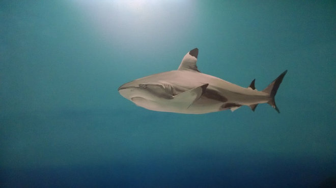 Readers Show Us Their Winter Hobbies at Home