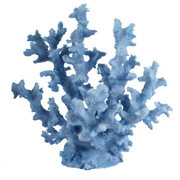 Coral , Blue